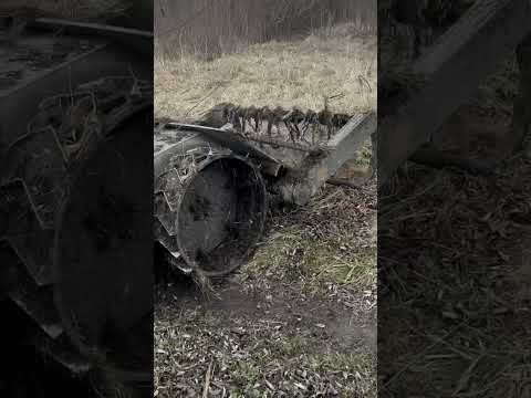Unmanned demining vehicle #military#shorts  #army
