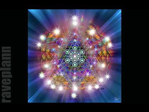 Psytrance Animalien Animalien Live Summer 17