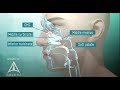 Tour of the Nasal Passage - 3D animation