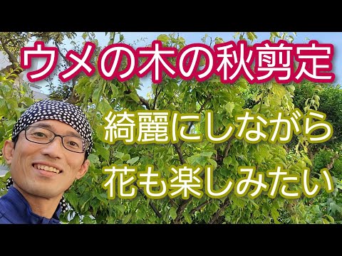 秋に果樹の剪定をしませんか