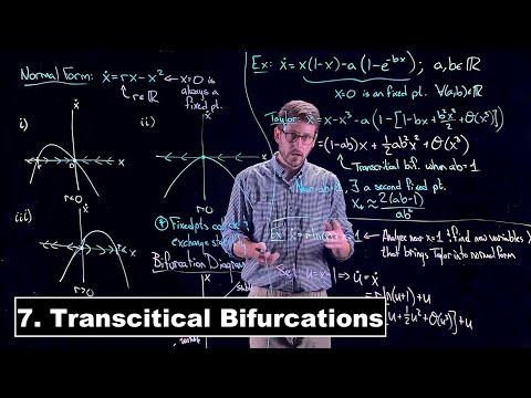 Transcritical Bifurcations - Dynamical Systems | Lecture 7