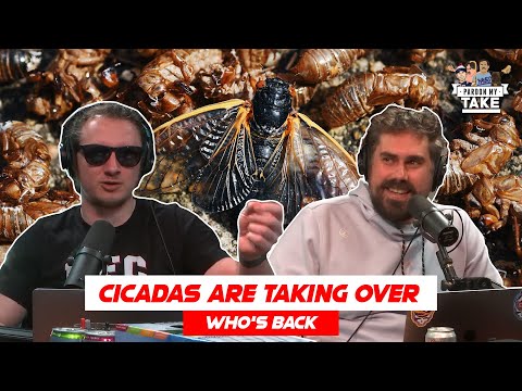 Should We Be Worried About Cicadas?