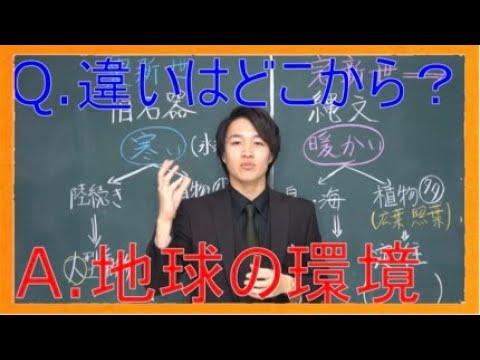 完新世の絶滅 - 定義