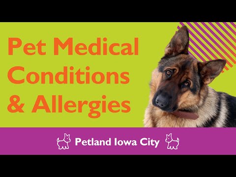 Pet Medical Conditions & Allergies