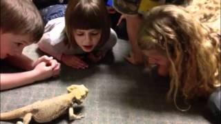 Kids Night wth Nonie at the Emerald Coast Science Center