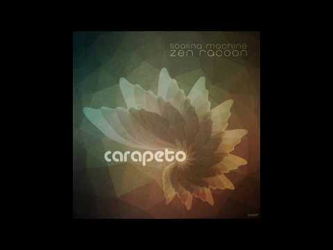 Zen Racoon & Floating Machine - Dito