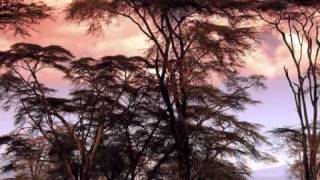 Hima (Get Up): African Song by Nawal