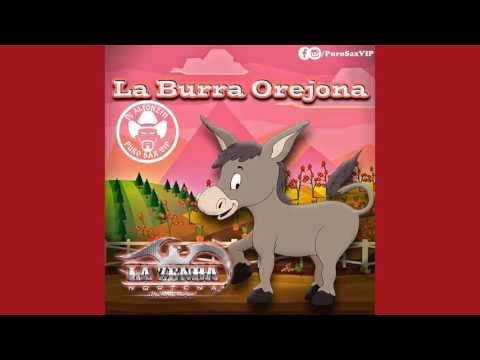 La Zenda Norteña - La Burra Orejona