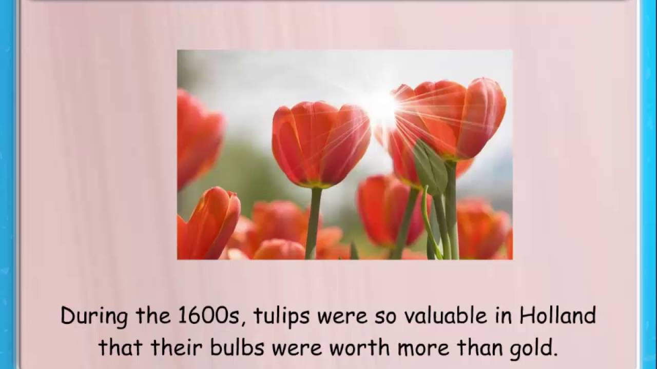 Plant Crossword | || Knowkedge ||