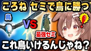 最強になりすぎたセミ（リスナー）で鳥に挑むころね【ホロライブ 切り抜き/戌神ころね】