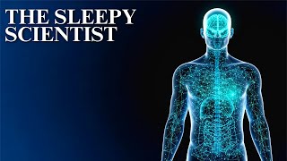 Download lagu The Myth of the Five Human Senses mp3