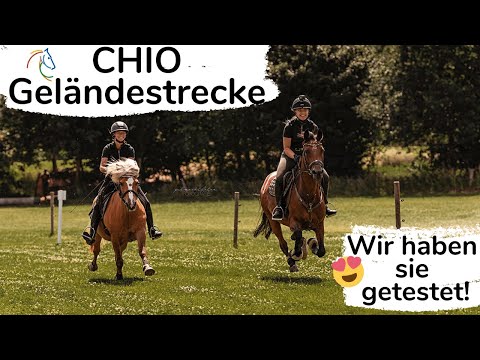 Der coolste Ausflug der Welt! 🤯​😍 | CHIO Aachen Geländestrecke | Marina und die Ponys