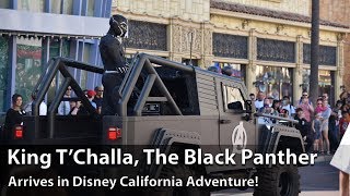 Black Panther King T'Challa Arrives at Disney California Adventure at the Disneyland Resort