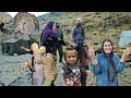 Search In The Mountains Of Iran Wild Animals And How To Find Nomadic Azam
