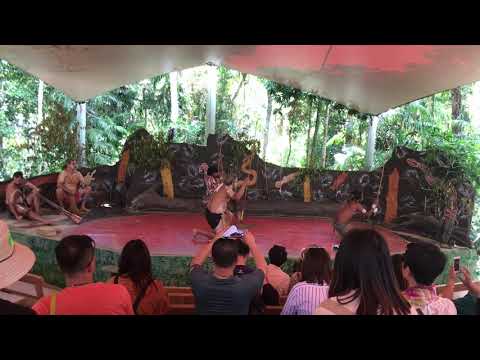 Aborjin amcalarımın yöresel dansı 1