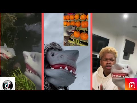 The.Shark.Puppet |  New Funny Shark Puppet Tik Tok #1  2021 | Best Funny Try Not To Laugh | Tik Tok