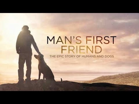 বন্ধু/Real Friend/#dogs #doglover #viral #creator #films | By @Grassrootent  ❤️