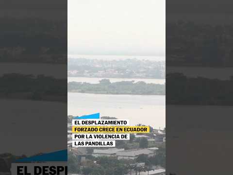 El desplazamiento forzado crece en Ecuador por la violencia de las pandillas