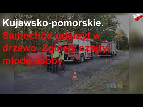 Kujawsko-pomorskie. Samochód uderzył w drzewo. Zginęły cztery młode osoby