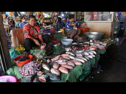 Many Amazing Various Food Type @Prek Phnov Market - Walk Around Street Market Food in Morning