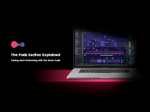 CHORDJAM by Audiomodern | Pads Section