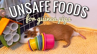 Unsafe Foods For Guinea Pigs
