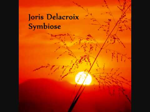 Joris Delacroix- Symbiose (Original Mix)