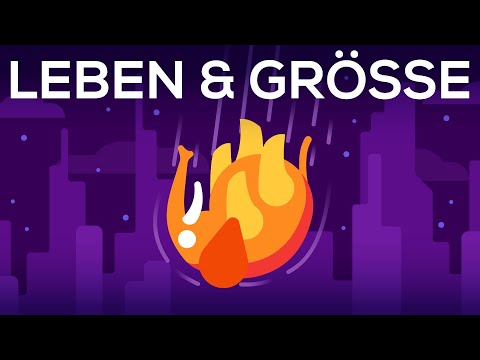 Was passiert, wenn man einen Elefanten von einem Wolkenkratzer wirft? - Leben & Größe 1