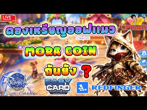 นักไน๊วันนี้จะเฉิดฉาย ส่องเเพทใหม่กันหน่อย ดองเหรียญแมวกันไปยั๊ง|ROOClassic |Ragnarok Origin Classic