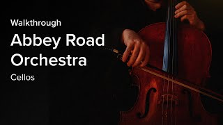 Video thumbnail for Out Now — ARO Cellos by Spitfire Audio