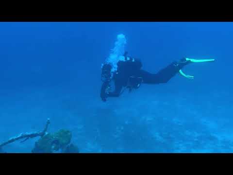 Croatia 2024-DEEP BLUE DIVING Rogoznica