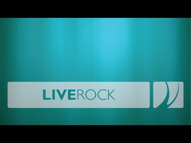 Aquascaping - Setting Live Rock
