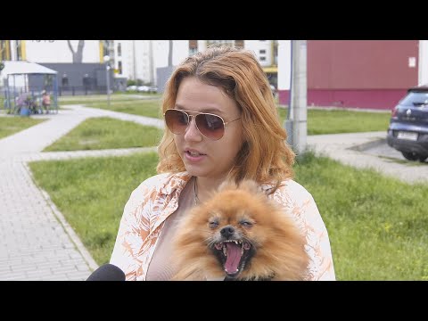 В какую сумму может обойтись выгул собаки без намордника? Смотрите в сюжете видео