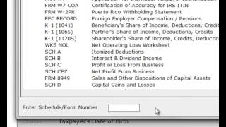 Adding Forms in CrossLink 1040 Professional Tax Software