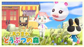 【あつまれ どうぶつの森】帰ってきたあつ森 島のみんな元気だった？？？【にじさんじ/ジョー・力一】