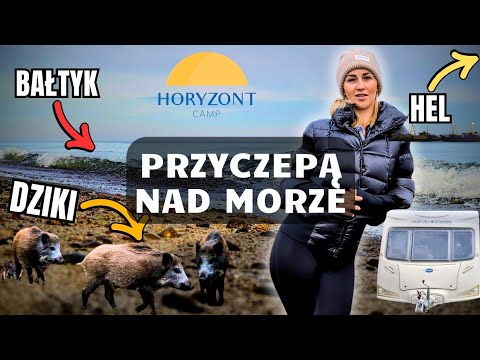 Przyczepą nad Bałtyk 🔱 Horyzont Camp ⛯ Zwiedzamy Hel 