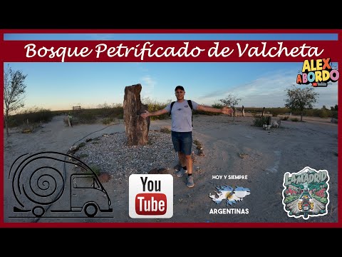 Bosque Petrificado de Valcheta, Rio Negro Argentina