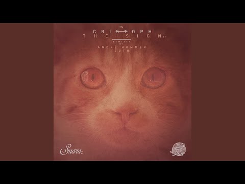 Lost Witness (Original Mix)