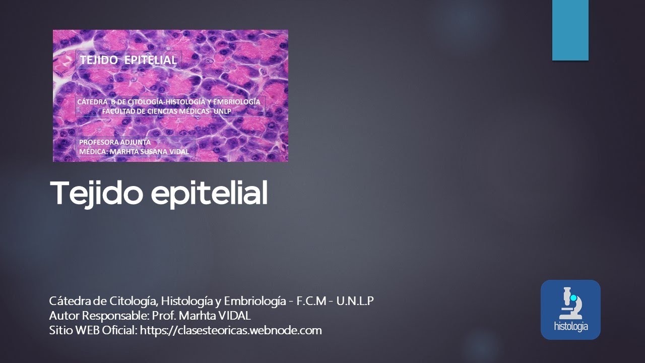 TEJIDO EPITELIAL