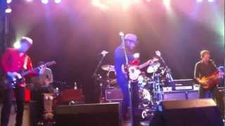 Wilco - Laminated cat