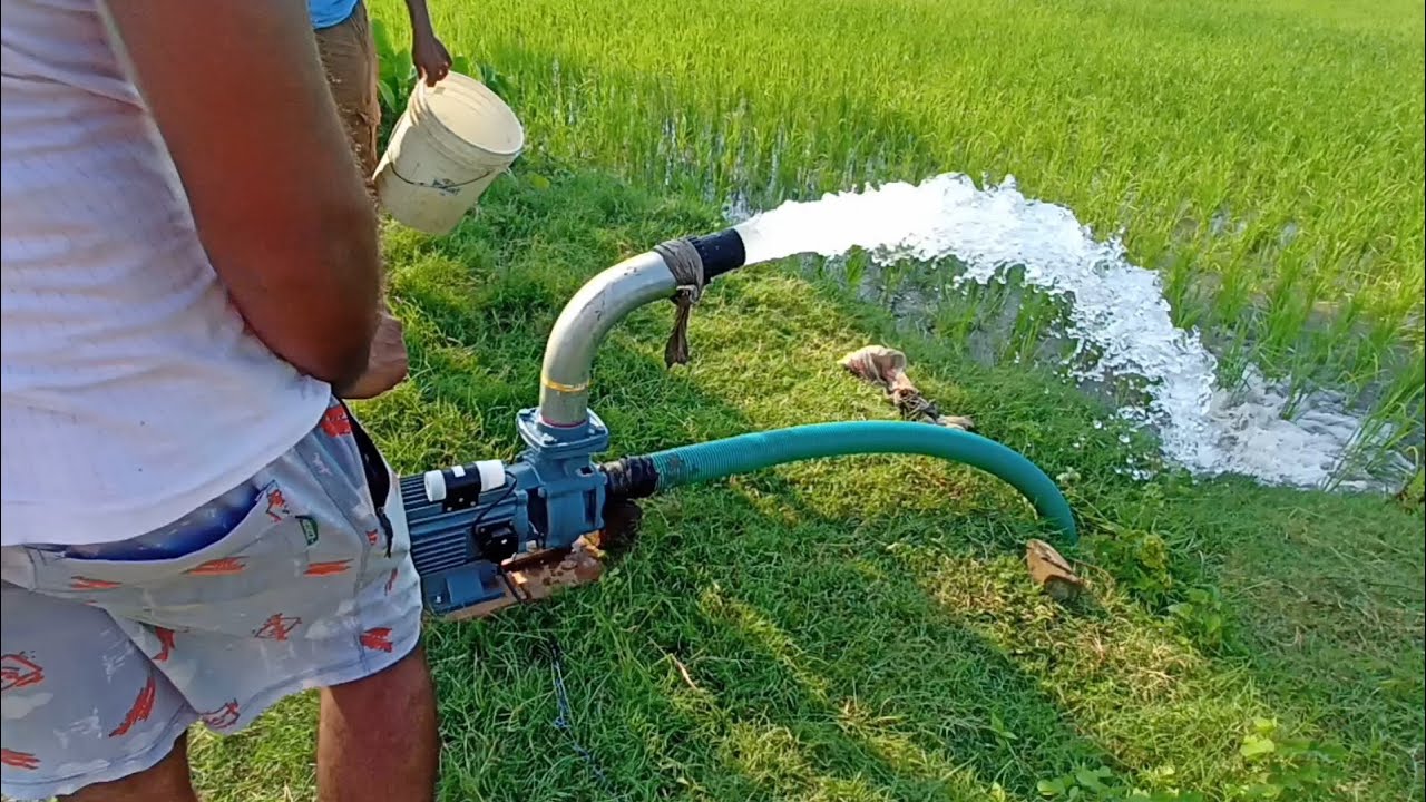 Watch video Havells 2 HP motor Kitna Pani deta hai खेत में लाइट से पानी कैसे चलाते हैं Now Havells 2 HP motor Kitna Pani deta hai खेत में लाइट से पानी कैसे चलाते हैं