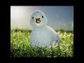 A FILLING BREAKFAST BURPING DUCK Made In Blender 2 83 Eevee