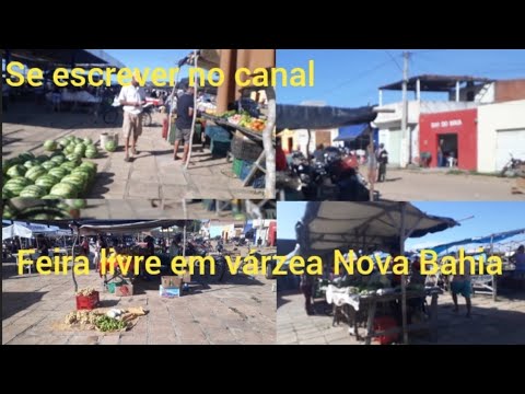 mostrando a feira livre de Várzea Nova Bahia @recanto23