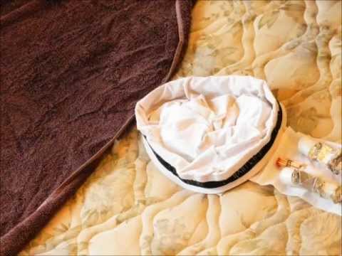 A Meta do Espermatozóide Metalinguístico