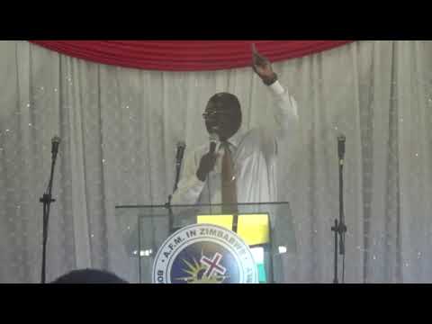 rev ti murefu  planted