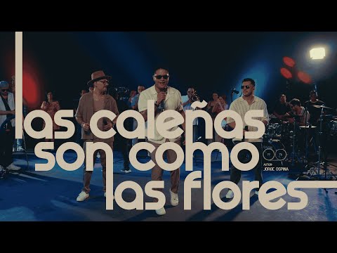 The Latin Brothers and Discos Fuentes Edimusica