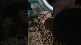 Dry Pet Food Processing Line Dog Food/ Cat Food Ma