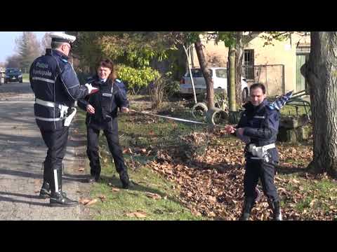 CASTEL BOLOGNESE: Perde il controllo e finisce contro un muro, 19enne in fin di vita | VIDEO