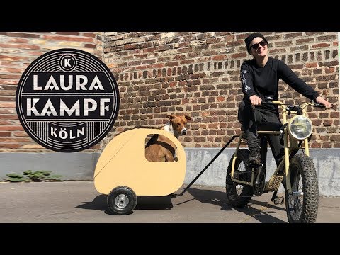 YouTube video about: How to make a dog trailer?