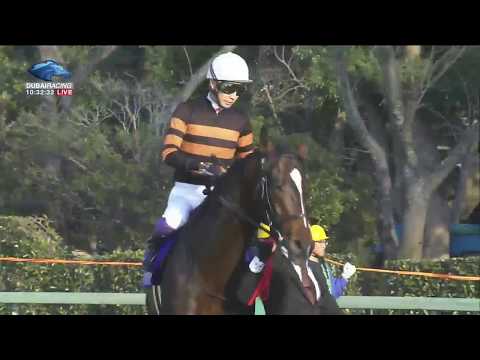 2017.12.24 Arima Kinen (The Grand Prix)(JPN) - Kitasan Black